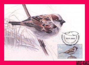 KYRGYZSTAN 2022-2023 Nature Fauna Bird of Year House Sparrow Maxicard Card