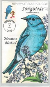 2014 COLLINS HANDPAINTED BIRDS SONGBIRDS GORGEOUS COLOR MOUNTAIN BLUEBIRD