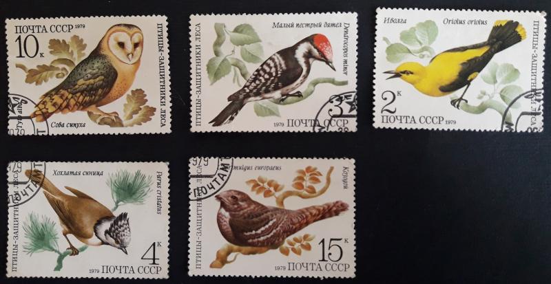 Birds, 1979, №66-Т