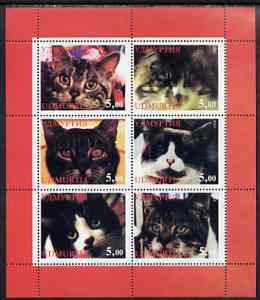 UDMURTIA - 1998 - Domestic Cats #1-Perf 6v Sheet-Mint Never Hinged-Private Issue