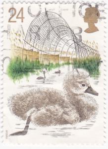 G.Britain -1993 600th Anniv. Swannery 24p used SG1640