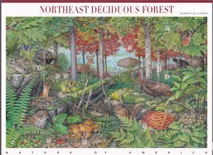 US 3899 MNH 2005 37¢ NORTHEAST DECIDUOUS FOREST Pane of 10 Nautre of America #7