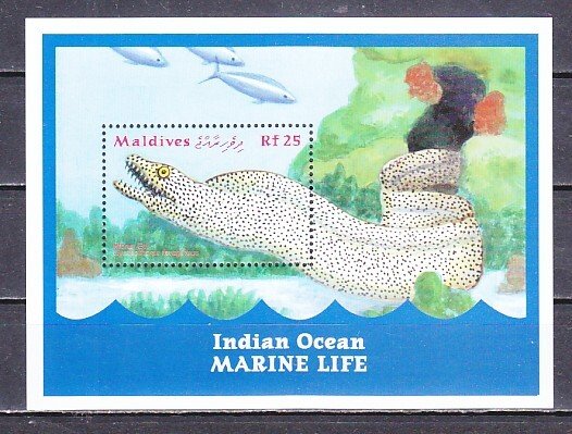 Maldives, Scott cat. 2486. Indian Ocean Marine Life s/sheet.