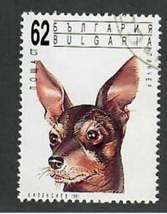 Bulgaria; Scott 3637; 1991; Precanceled; NH; Dogs