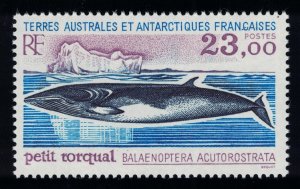 FSAT TAAF Minke Whale 'Balaenoptera acutorostrata' 1995 MNH SG#342 MI#332
