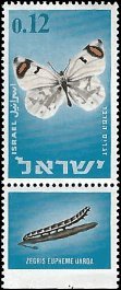 ISRAEL   #307 MNH (1)