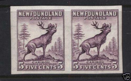 Newfoundland #191b XF/NH Imperf Pair With Watermark