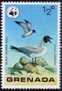 Grenada 849 - Mint-NH - 1/2c Black-headed Gull (WWF) (1978)