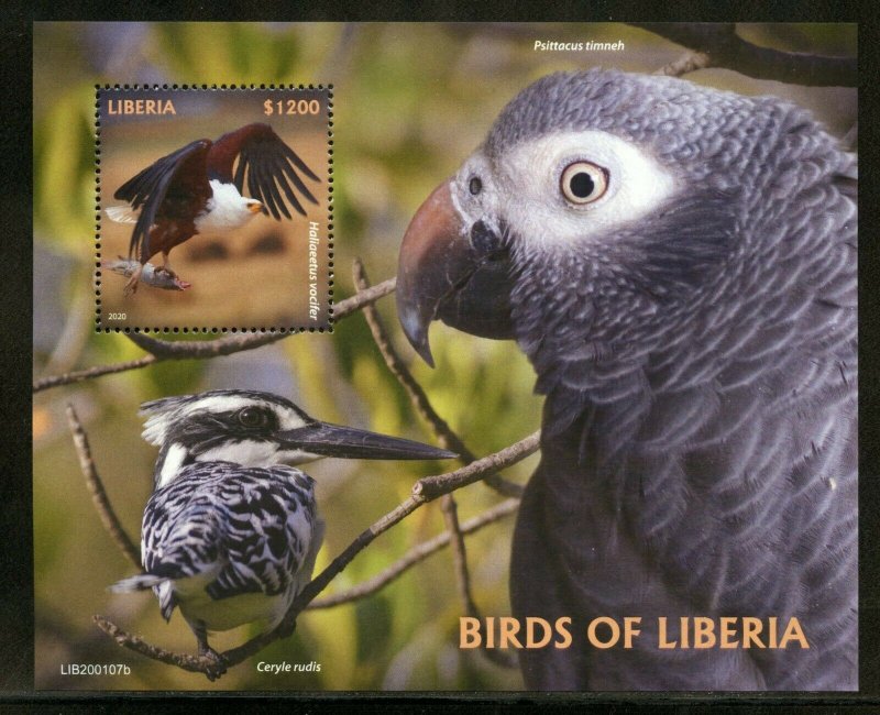 LIBERIA  2020 BIRDS OF LIBERIA SOUVENIR SHEET MINT NH