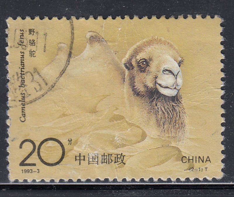 China 1993 Sc#2434 Bactrian Camel (Camelus bactrianus) Used