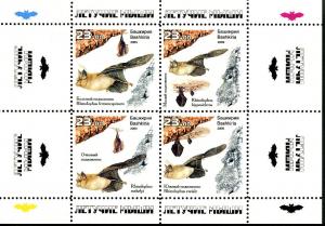 BASHKIRIA RUSSIA LOCAL SHEET BATS WILDLIFE