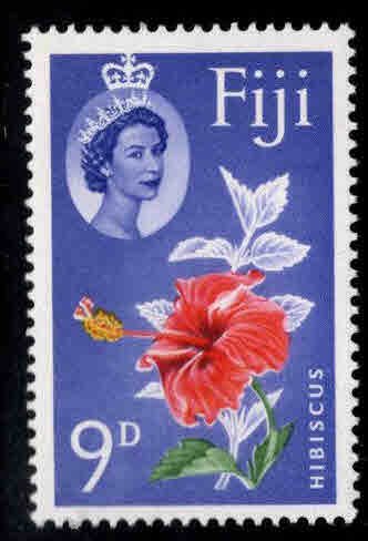 FIJI Scott 180 MH* QE2