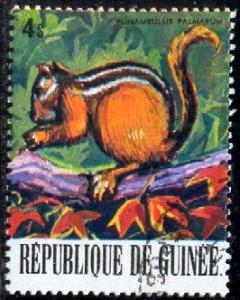 Palm Squirrel, Guinea stamp SC#756b used