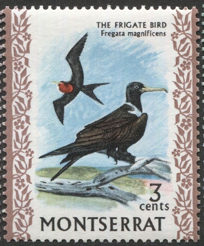 MONTSERRAT 1970  Sc 233  MNH, VF, 3c Frigate Bird