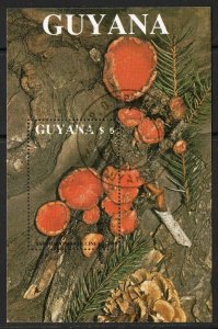 Thematic stamps GUYANA 1989 FUNGI Mi.Bl.37 used