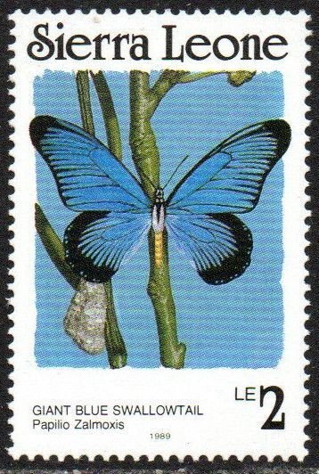 Sierra Leone Sc #863b MNH