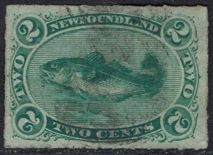 NEWFOUNDLAND 1876 COD FISH 2C ROULETTE USED