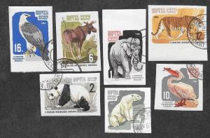 Russia 2905-2911 CTO NH Wildlife Imperf!
