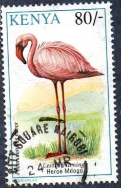 Kenya Scott #609  80sh Lesser Flamingo (1993) used