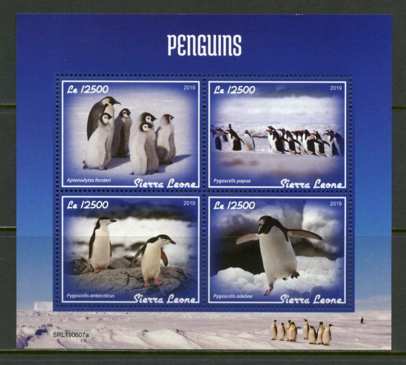 SIERRA LEONE 2019 PENGUINS SHEET MINT NEVER HINGED