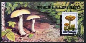 Booklet - North Korea 1995 Fungi in Alpine Regions 4 won ...