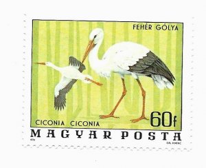 Hungary 1977 - MNH - Scott #2458 *