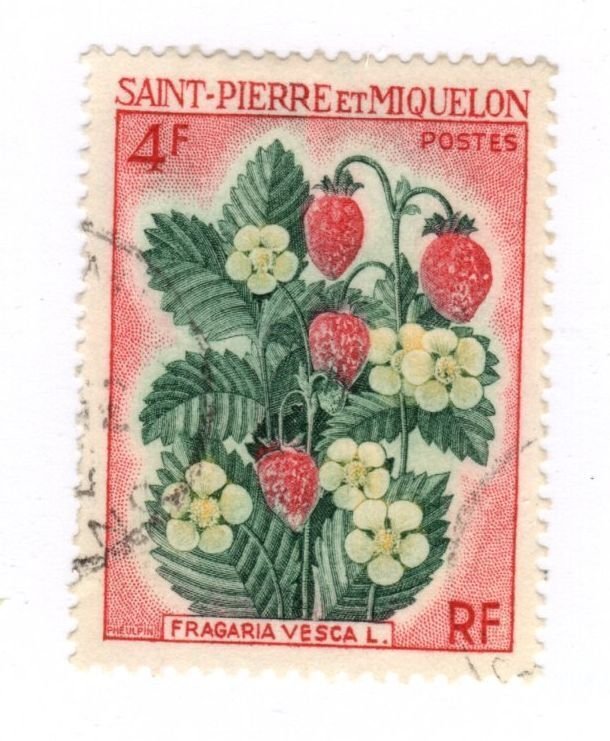 Saint Pierre and Miquelon #401 Used - Stamp - CAT VALUE $1.60