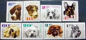 Poland 1969 MNH Stamps Scott 1636-1643 Dogs