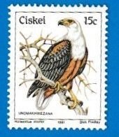 SOUTH AFRICA CISKEI SCOTT#18 1981 15c AFRICAN FISH EAGLE - MNH