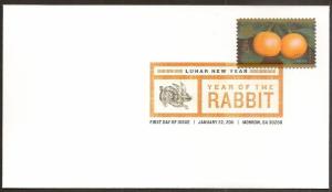 US 4492 Lunar New Year Rabbit DCP FDC 2011