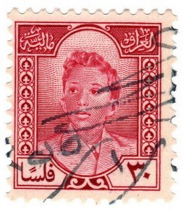 (I.B) Iraq Revenue : Duty Stamp 30f (King Faisal II)