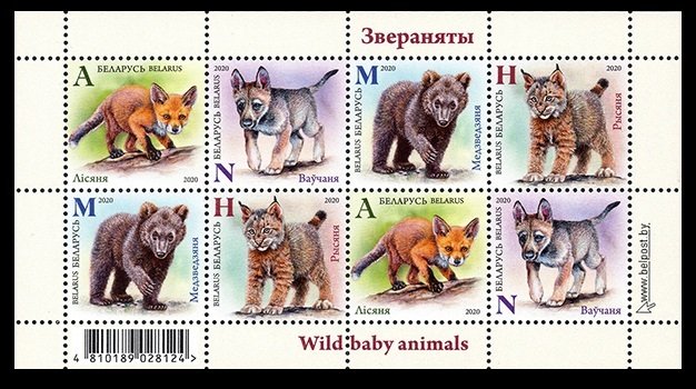 2020 Belarus 1328-1331KL Kids Little fox. Little wolf Little bear. Little lynx