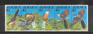 BIRDS - JAMAICA #546 CUCKOO MNH