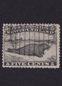 Newfoundland, Scott 26, Used, Harp Seal