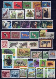 Wild Animals Stamp Collection All MNH Wildlife Zebra Rhinos Wolf ZAYIX 0324S0056