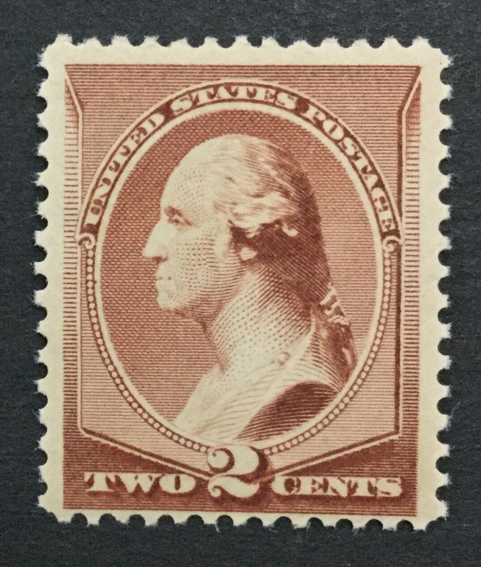 MOMEN: US #210 MINT OG POST OFFICE FRESH **NH** #29376