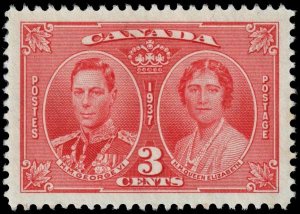 Canada - Scott 237 - Mint-Hinged - Toning - Adhesion on Back