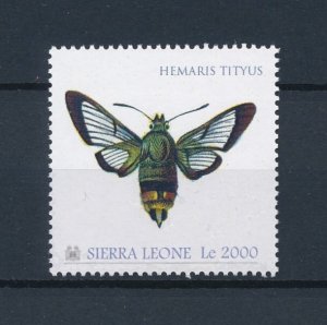 [107894] Sierra Leone 2010 Insect butterfly schmetterling  MNH