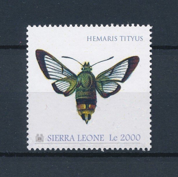 [107894] Sierra Leone 2010 Insect butterfly schmetterling  MNH