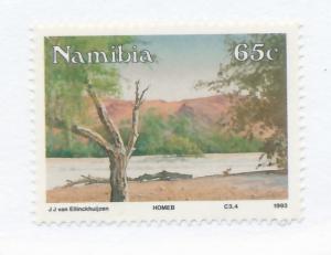 Namibia 1993 - Scott 736 MH - 65c, Homeb