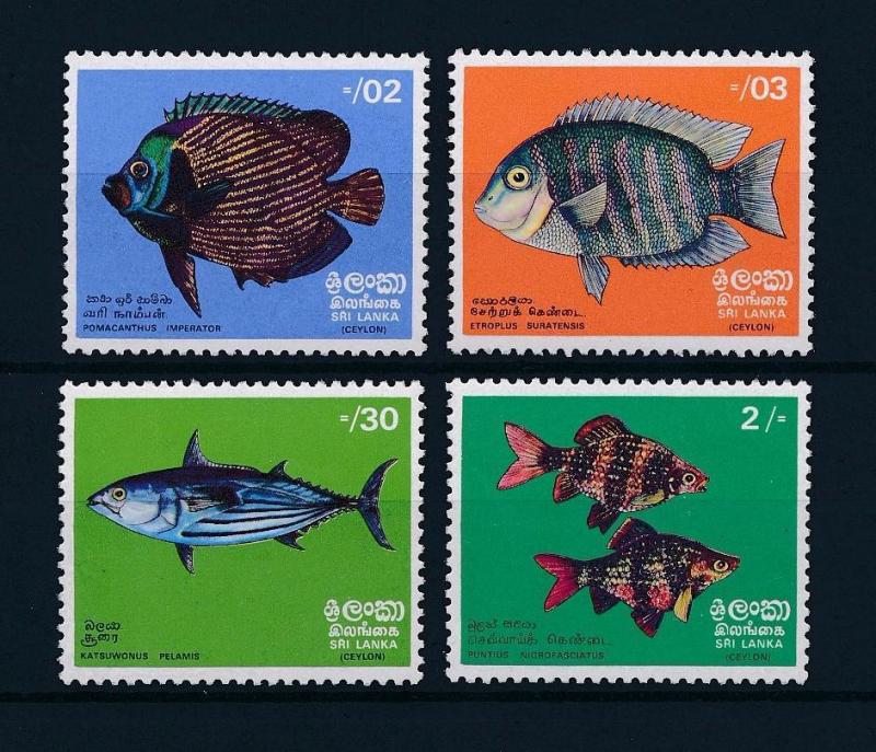 [37855] Sri Lanka 1972 Marine life Fish MNH