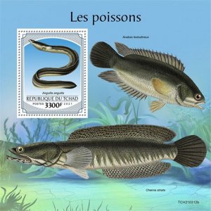 Chad - 2021 Fish, European Eel - Stamp Souvenir Sheet - TCH210312b