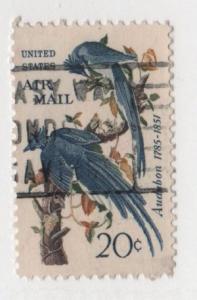 USA Airmail 1963 Scott C71 used, 20c Columbia Jays  Audubon