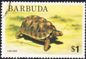 Barbuda #184 Used