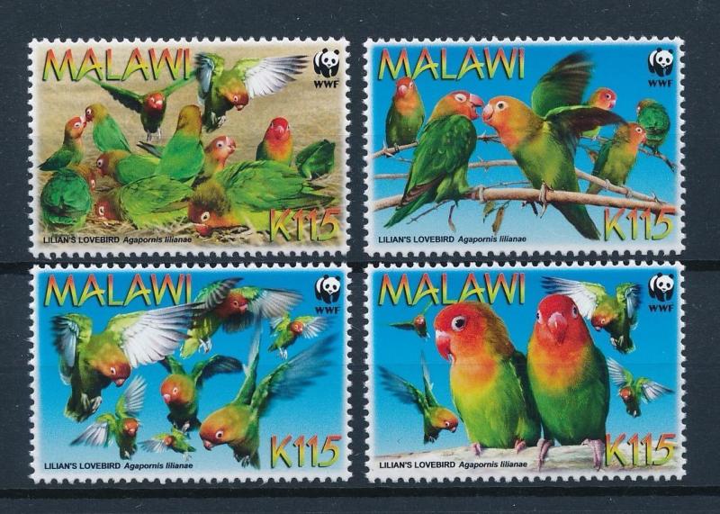 [53527] Malawi 2009 Birds Vögel Oiseaux Ucelli WWF Parrots MNH