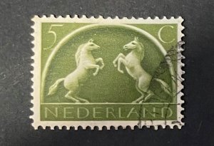 (Ran-S1) -  Nederland Stamp - 5c  used