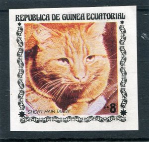 Equatorial Guinea 1976 DOMESTIC CAT SHORT HAIR TABBY Stamp Imperforated Mint(NH)