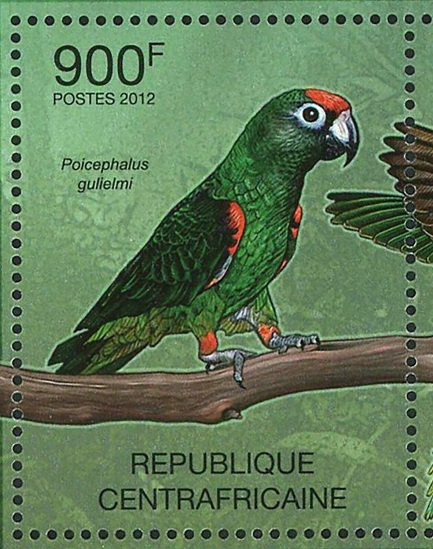 Parrots of Africa Stamp Poicephalus Meyeri Psittacula Krameri S/S MNH #3667-3670