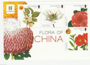 MONTSERRAT   Flora of China