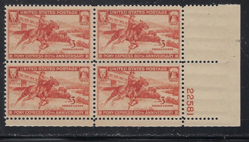 894, Pony Express, MNH